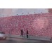 GRAFFITI BIBLE - OUTLET